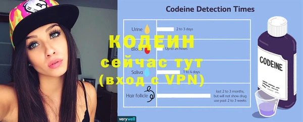 хмурый Няндома