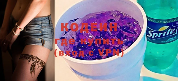 хмурый Няндома