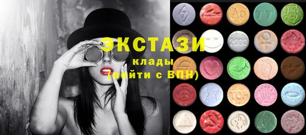 хмурый Няндома