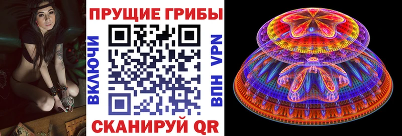 Галлюциногенные грибы ЛСД  Спасск-Рязанский 